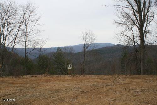 306 Honeymoon Lot 68 Hollow, Butler, Tennessee image 3