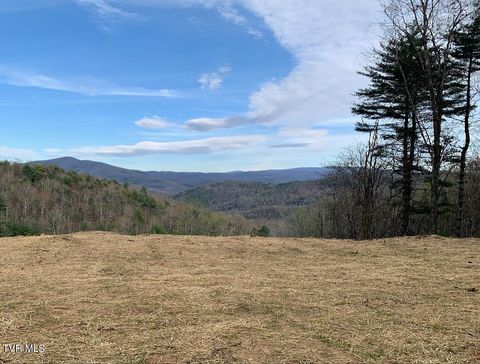 Vacant Land For Sale - 306 Honeymoon Lot 68 Hollow<br/> Butler, TN 37640