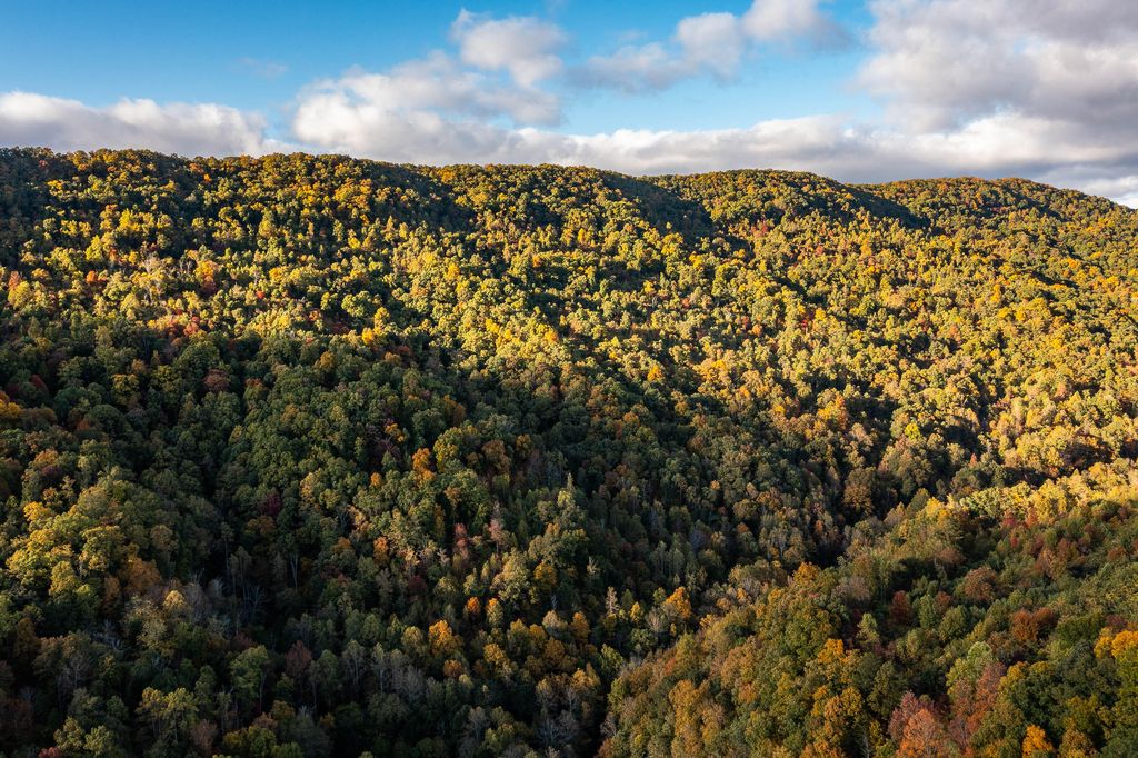 Photo of 378 Caney Creek Lane, Greeneville, TN 37745 (MLS # 9961674)