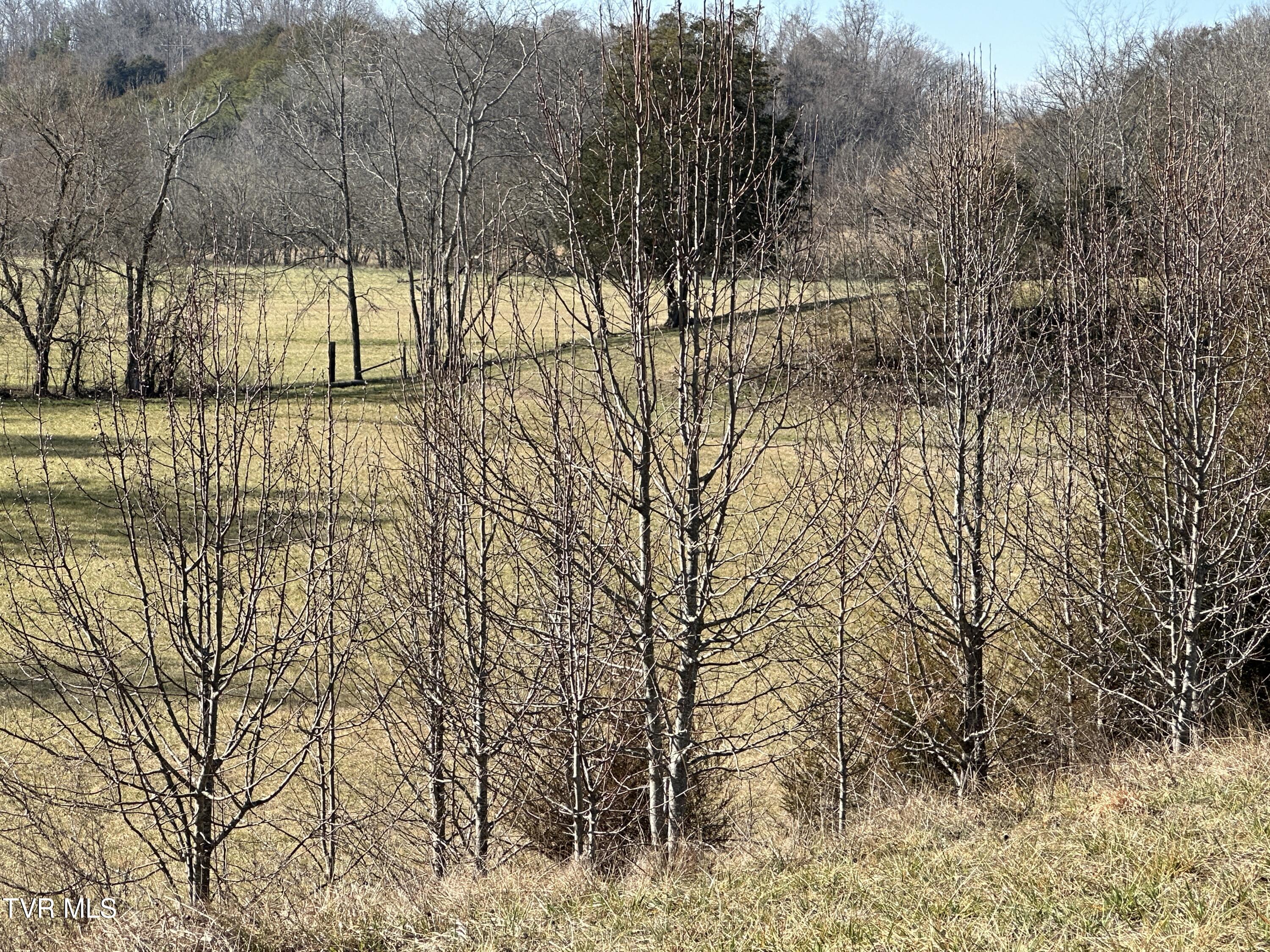 180 Click Road, Mosheim, Tennessee image 42