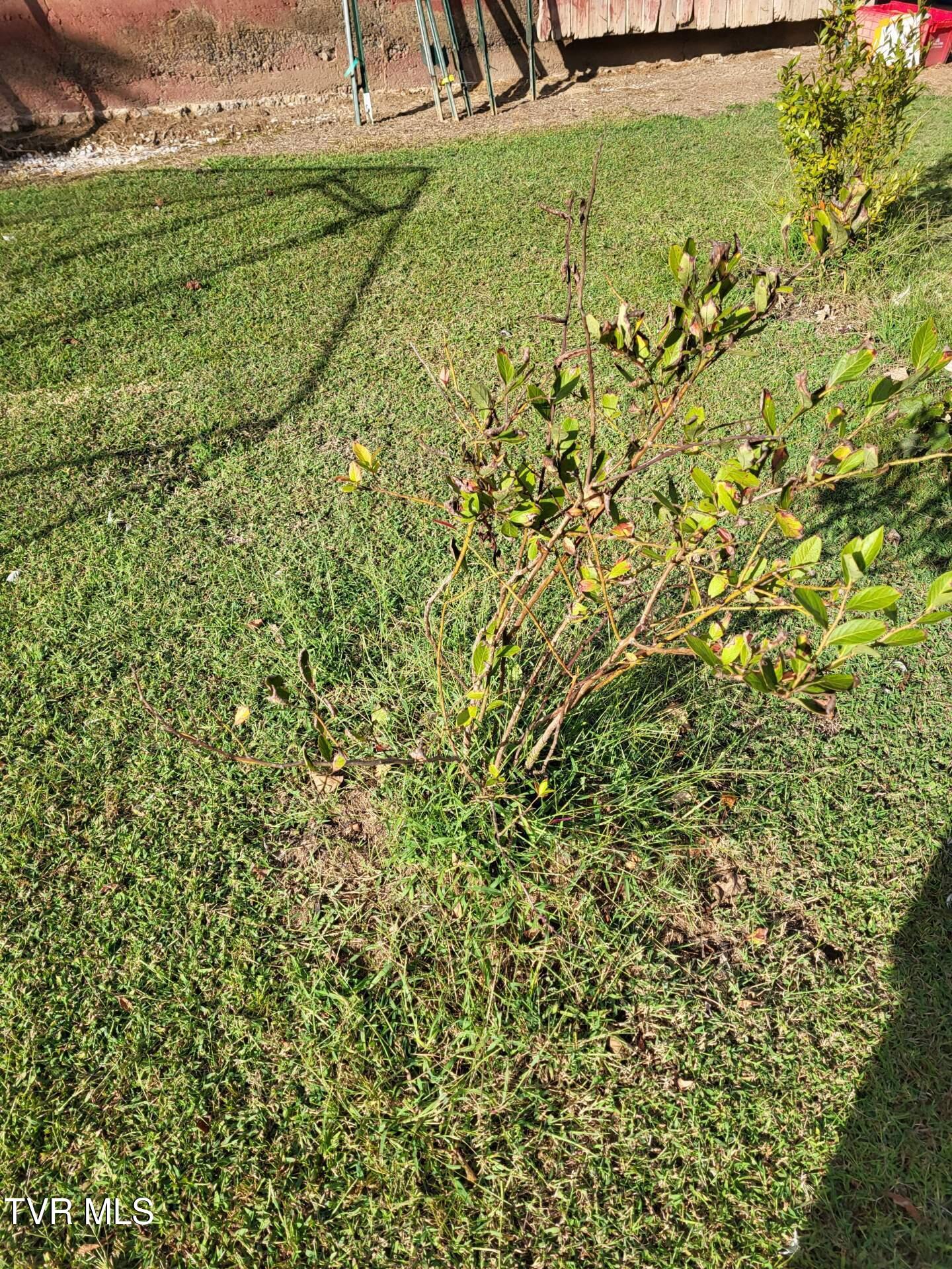 180 Click Road, Mosheim, Tennessee image 14