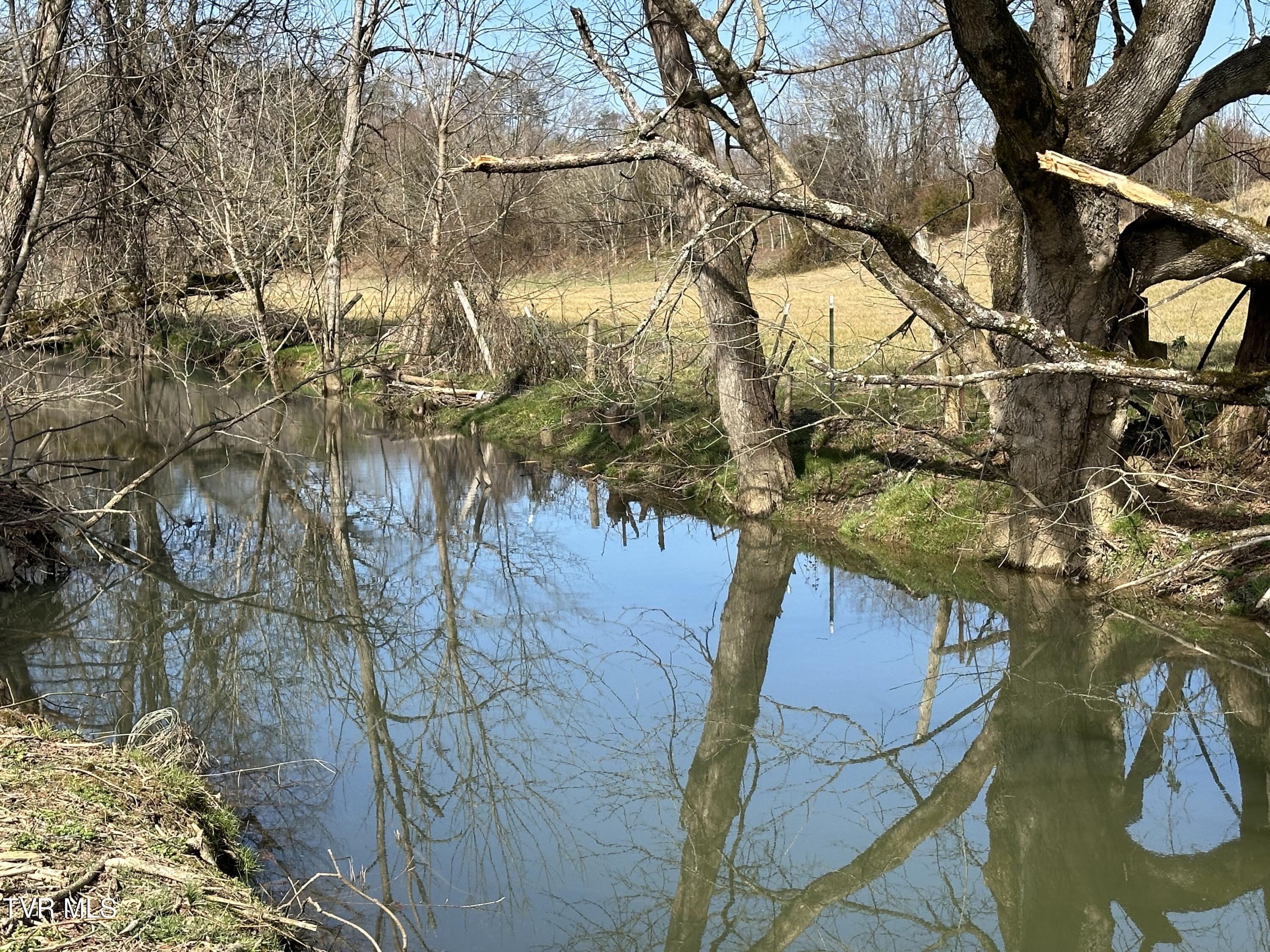 180 Click Road, Mosheim, Tennessee image 47