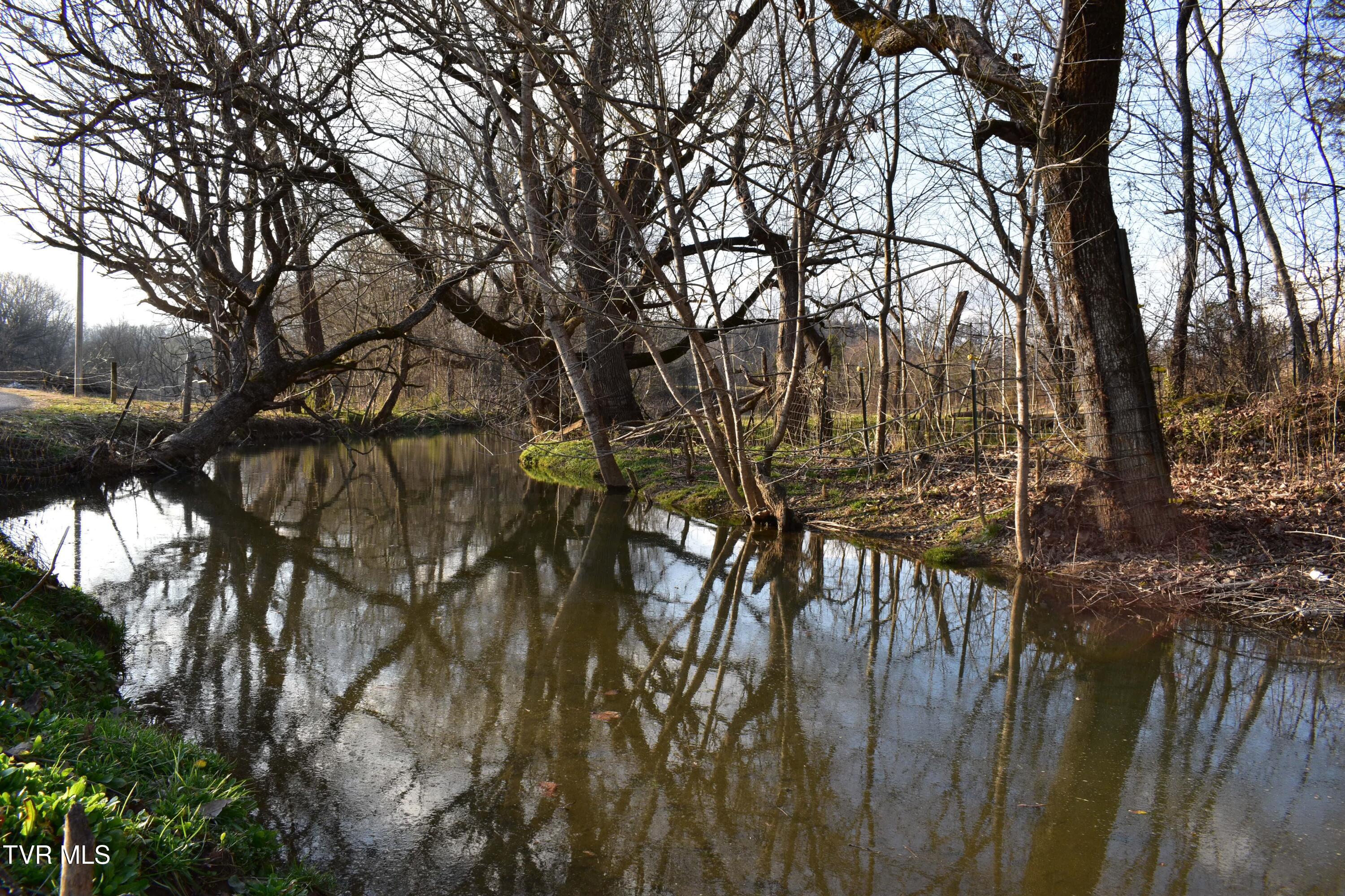 180 Click Road, Mosheim, Tennessee image 7