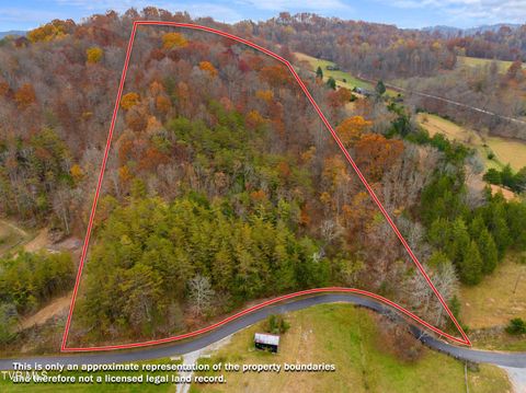 Vacant Land For Sale - Broken Valley Road<br/> Thorn Hill, TN 37881