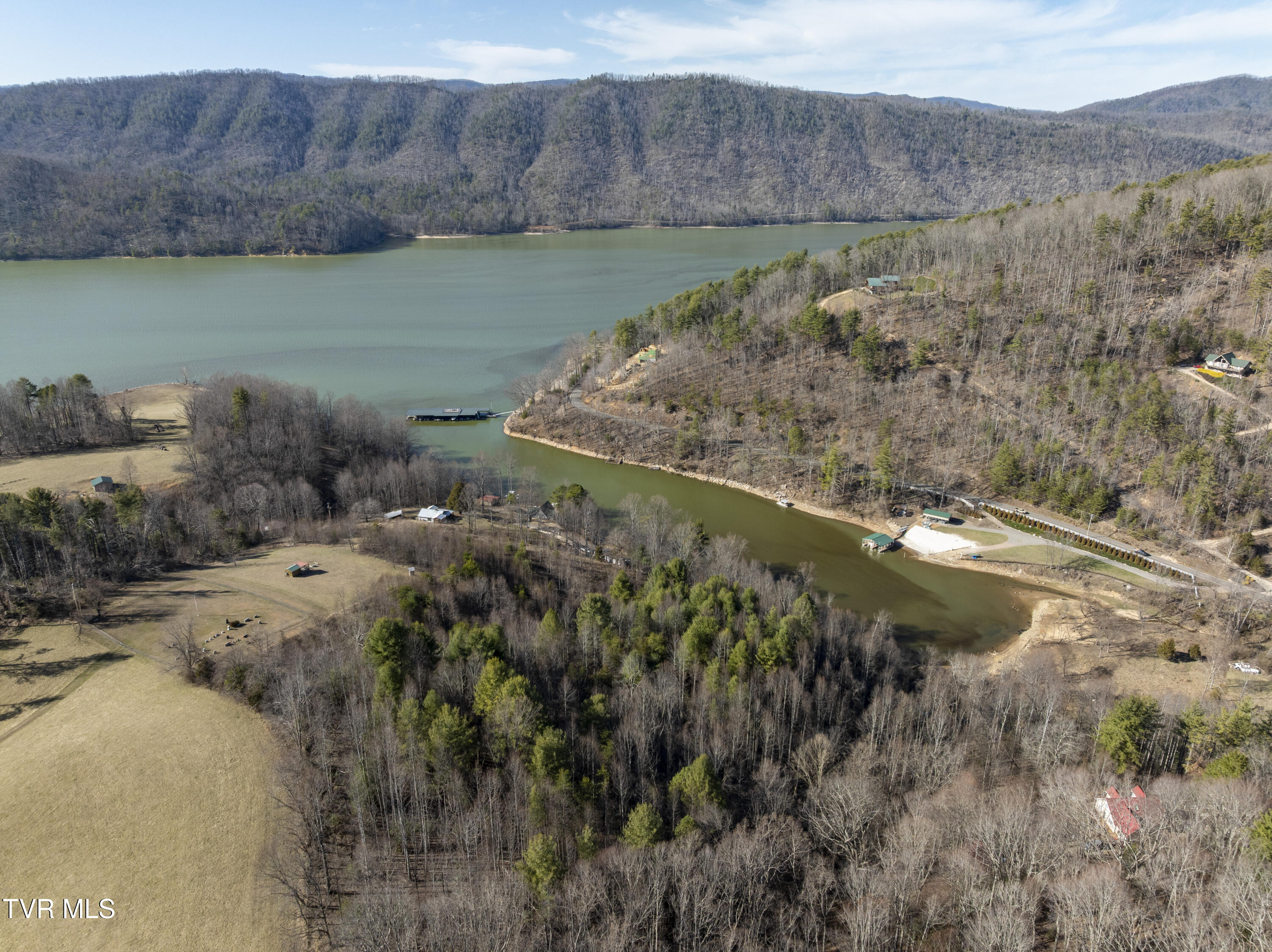 387 Goose Bradley Lane, Butler, Tennessee image 9