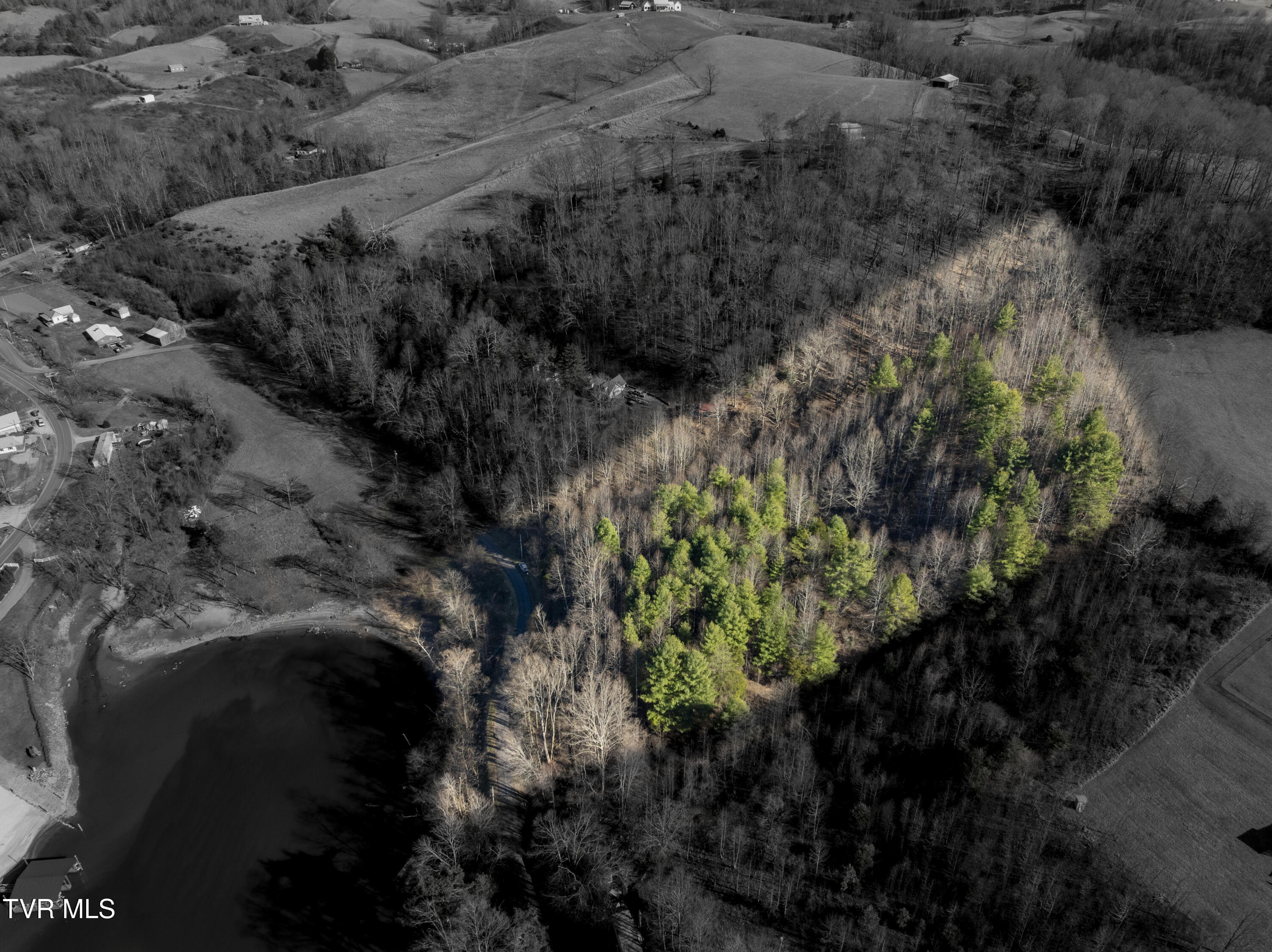 387 Goose Bradley Lane, Butler, Tennessee image 21