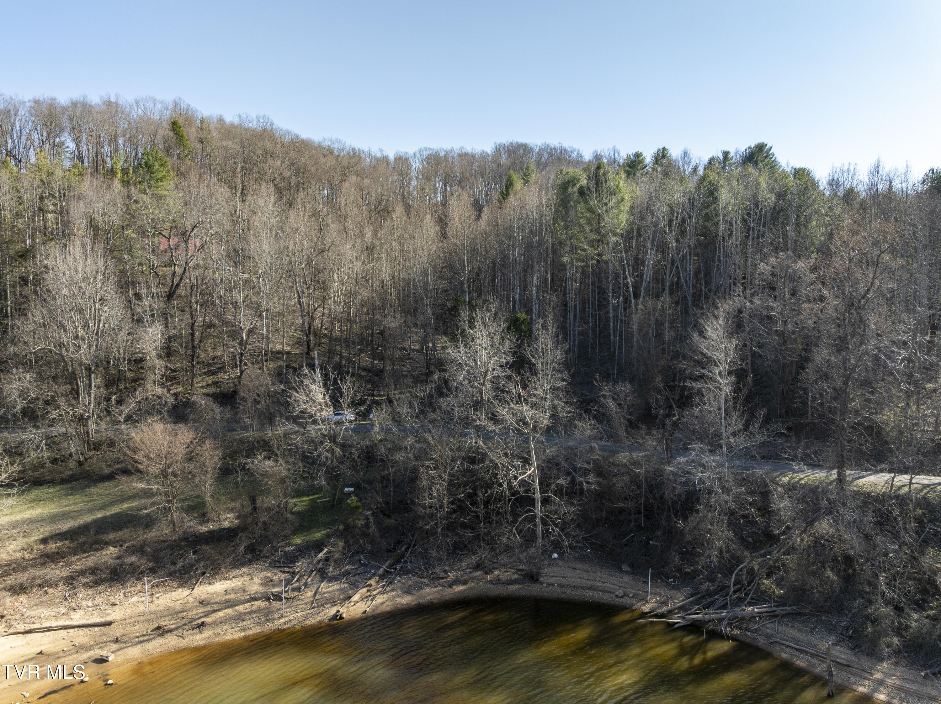 387 Goose Bradley Lane, Butler, Tennessee image 3