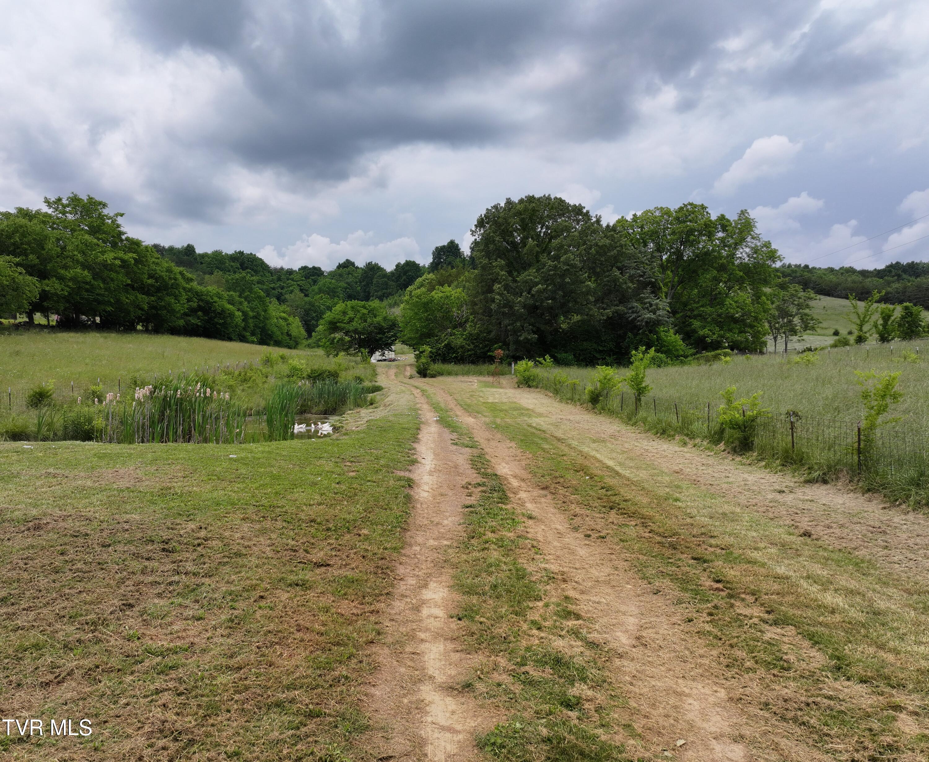 55 Little Chuckey Cutoff, Mosheim, Tennessee image 17