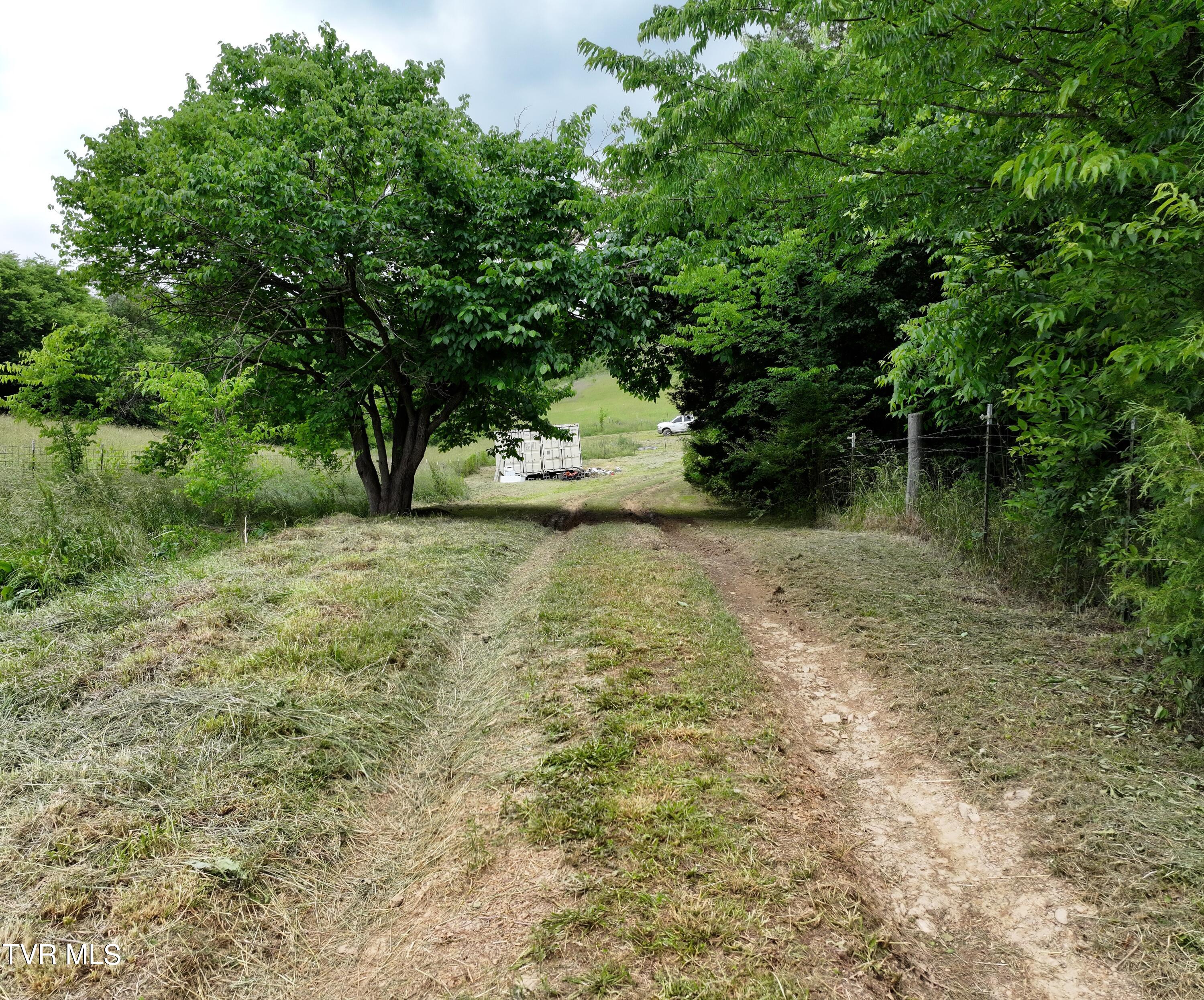 55 Little Chuckey Cutoff, Mosheim, Tennessee image 19
