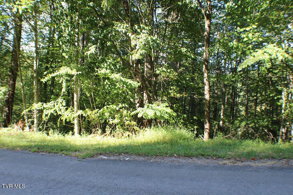 Photo of Tbd Deer Creek Xing, Mountain City, TN 37683 (MLS # 9985562)