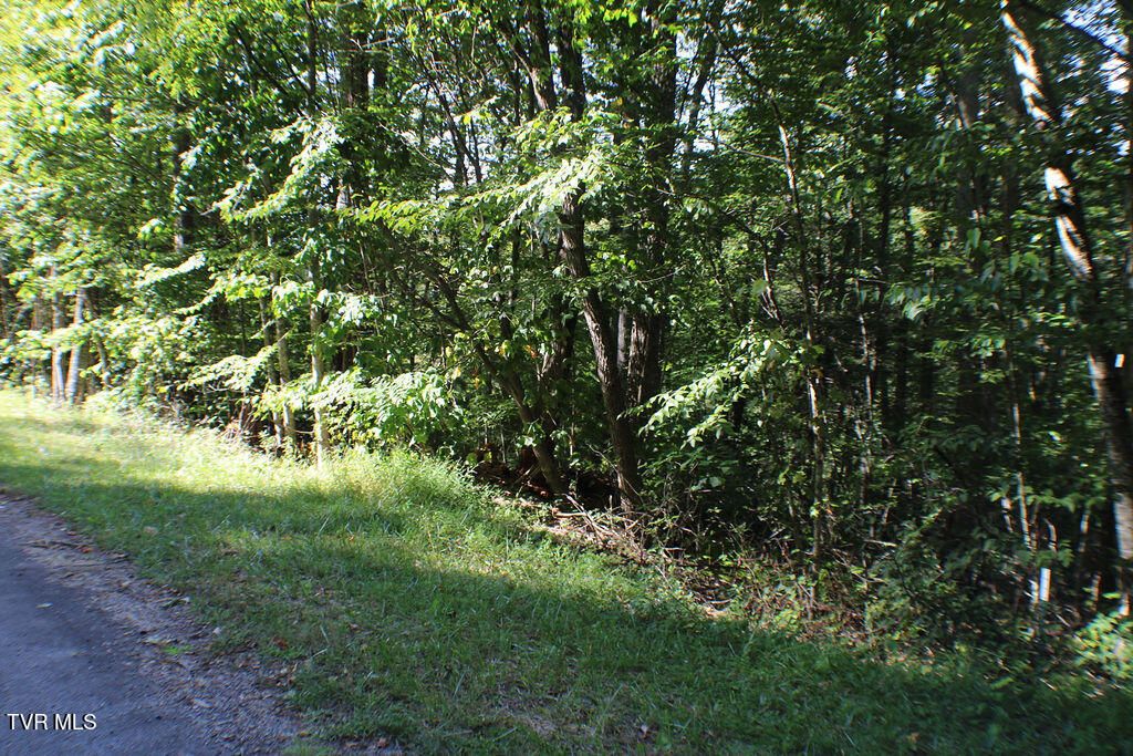 Photo of Tbd Deer Creek Xing, Mountain City, TN 37683 (MLS # 9985562)