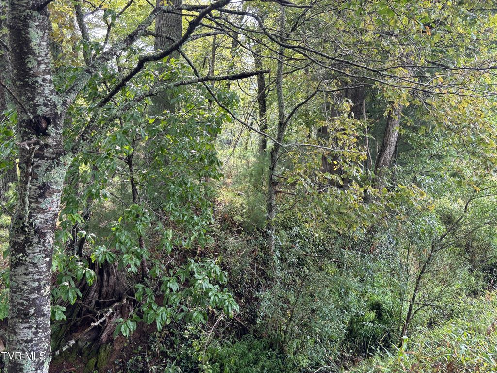 Photo of 3 Locust Gap Road, Mountain City, TN 37683 (MLS # 9985409)