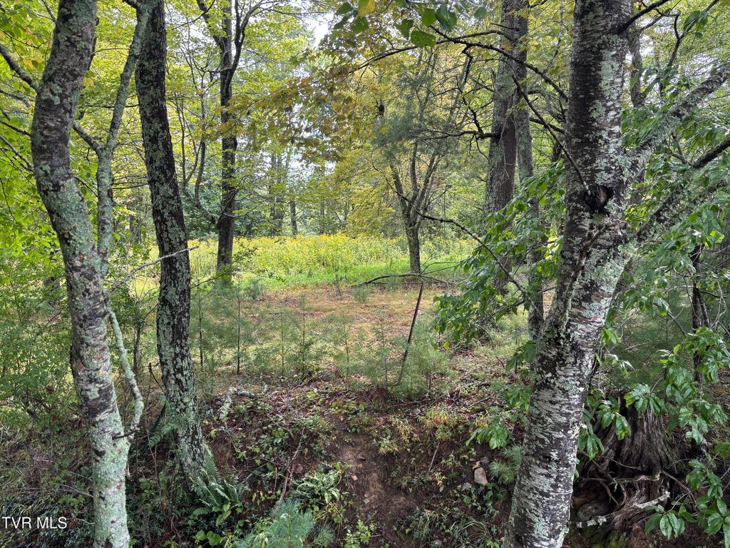 Photo of 3 Locust Gap Road, Mountain City, TN 37683 (MLS # 9985409)