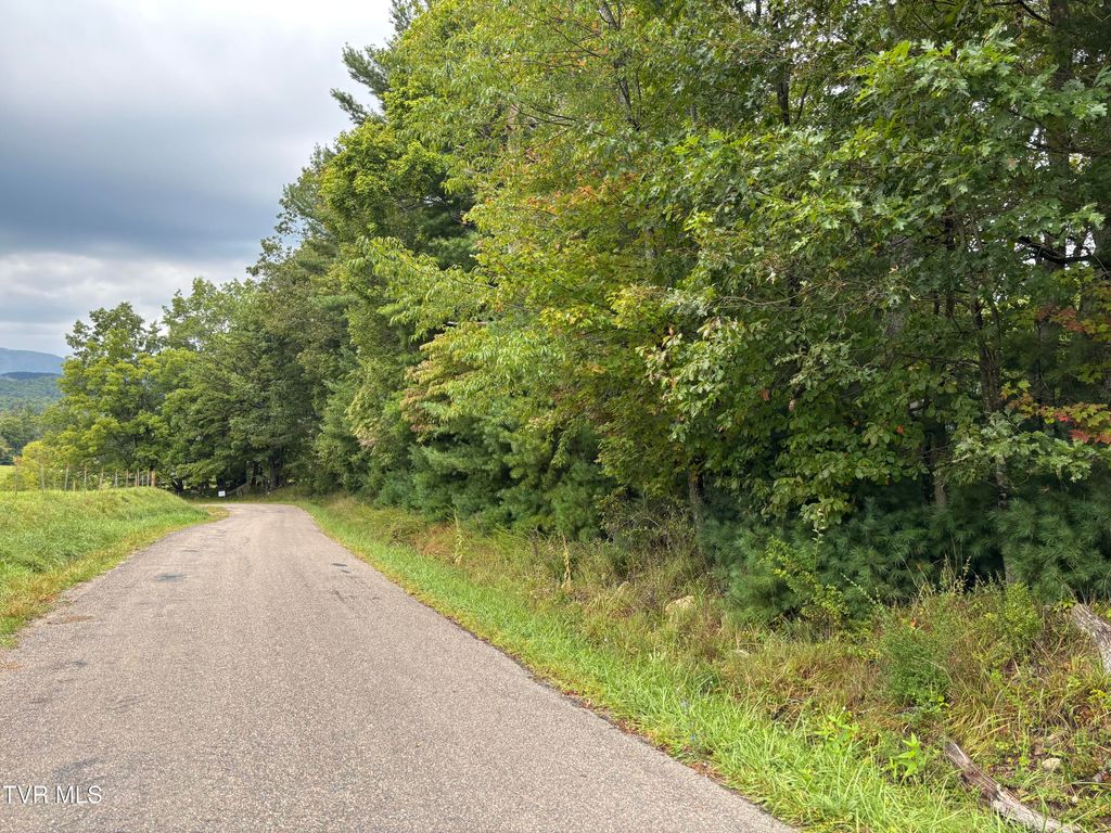 Photo of 3 Locust Gap Road, Mountain City, TN 37683 (MLS # 9985409)