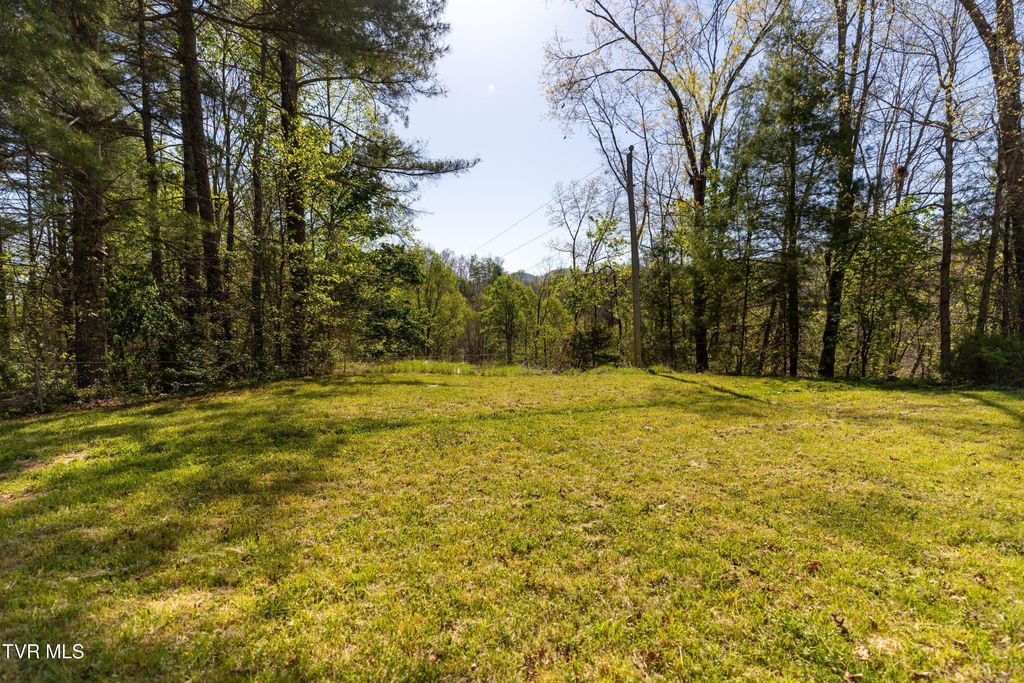 Photo of 192 Blueberry Hill Drive, Pennington Gap, VA 24277 (MLS # 9994404)