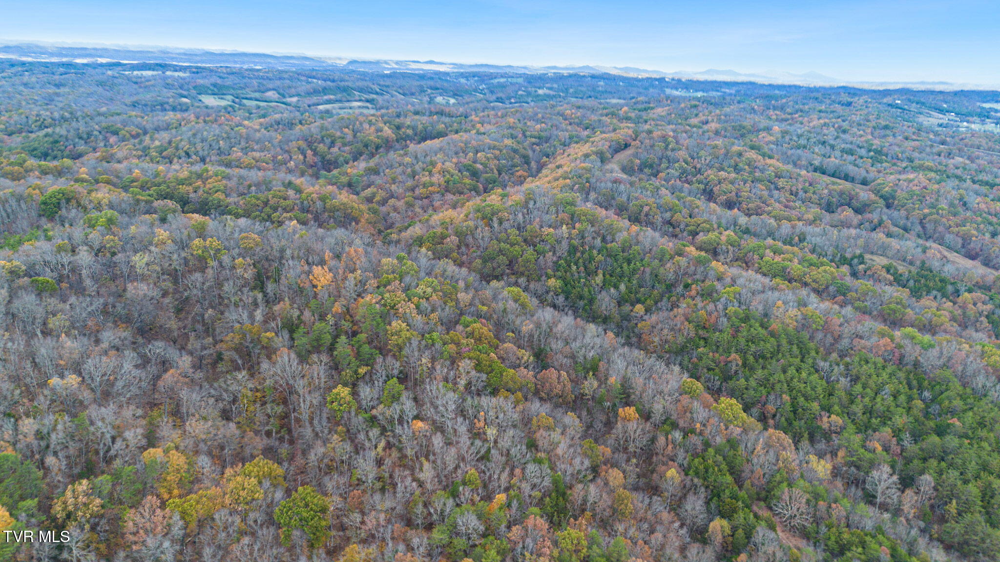 00 Bledsoe Lane, Greeneville, Tennessee image 6