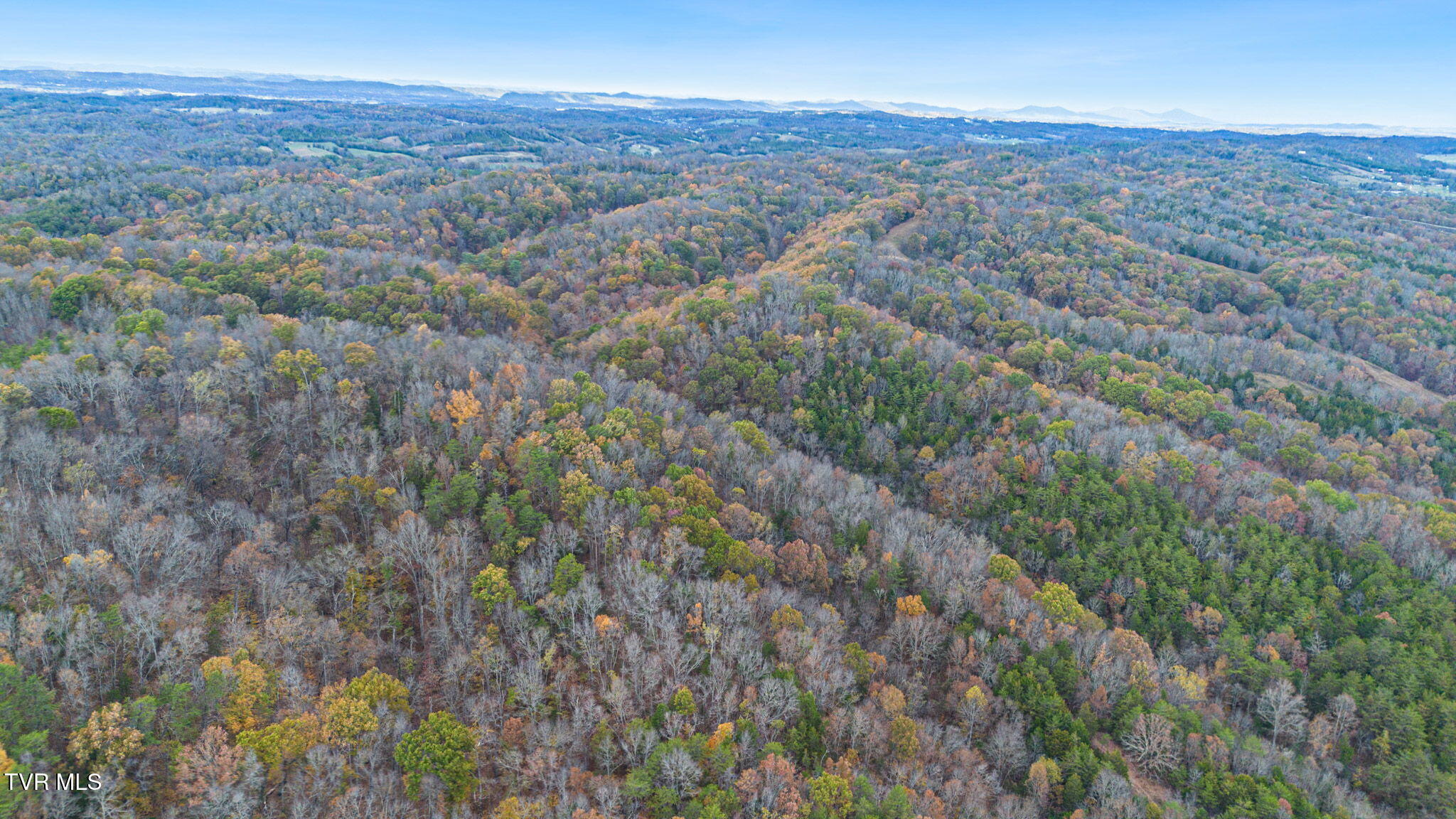 00 Bledsoe Lane, Greeneville, Tennessee image 7