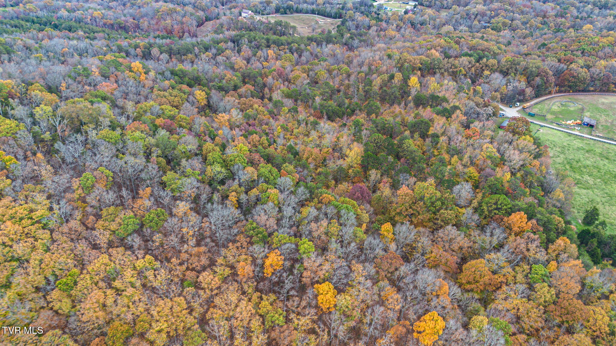 00 Bledsoe Lane, Greeneville, Tennessee image 11