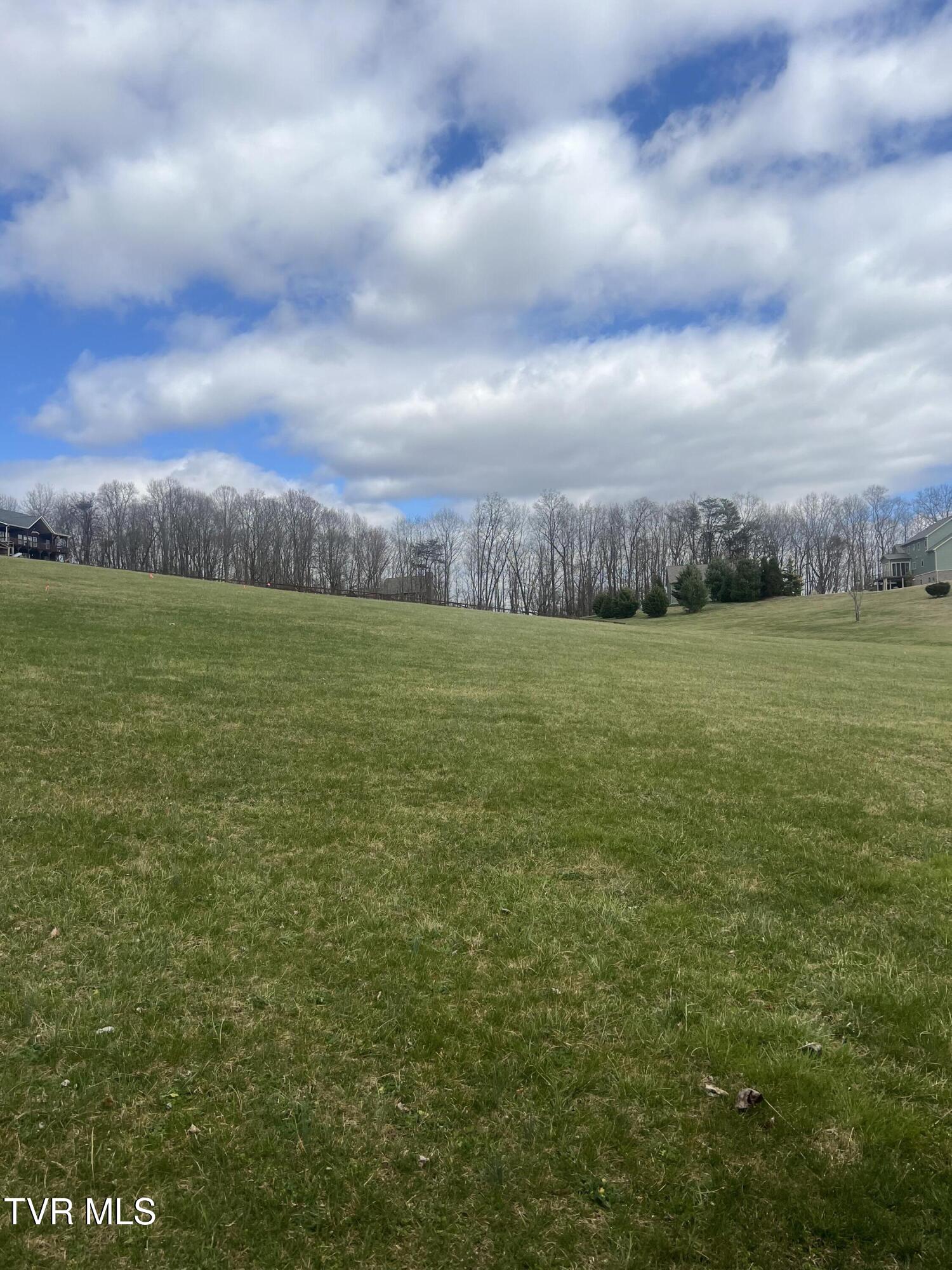 Lot 1rb Bacon Branch Road, Jonesborough, Tennessee image 1