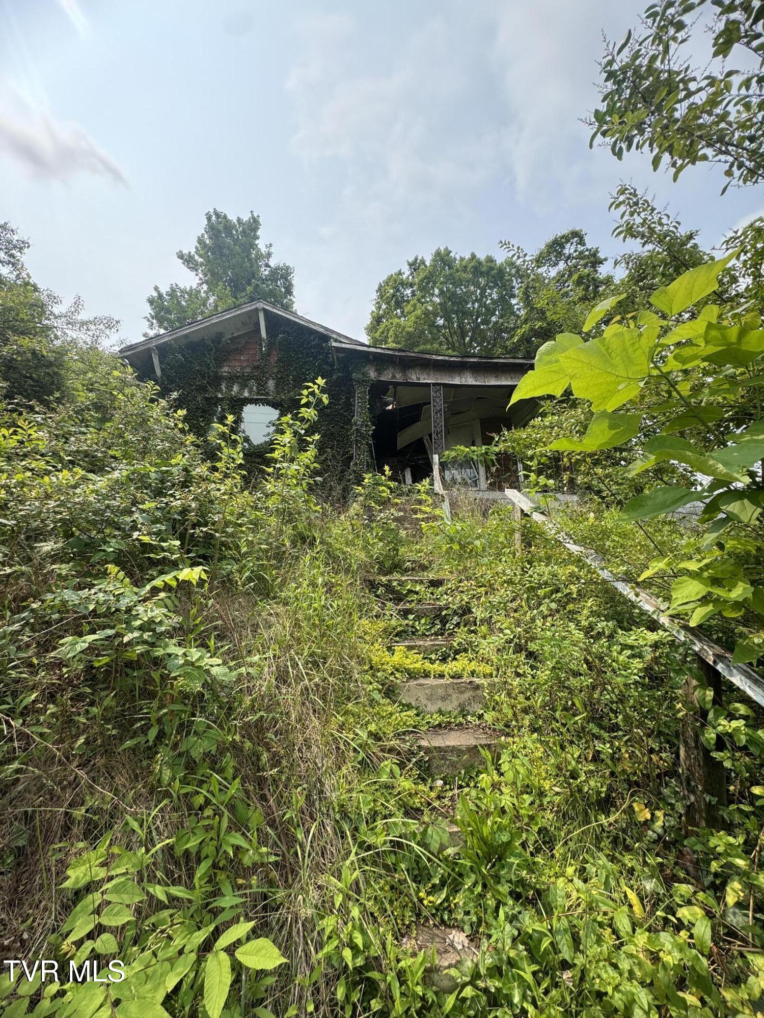 1232 Shelby Street Street, Bristol, Tennessee image 1