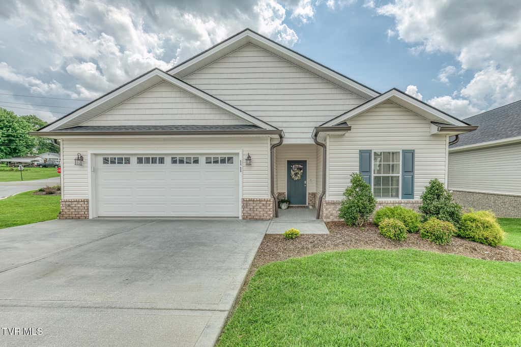 Photo of 11 Palmetto Court, Gray, TN 37615 (MLS # 9999607)