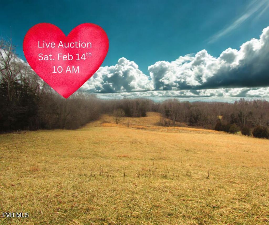 Photo of 1411 Bristol Caverns Highway, Bristol, TN 37620 (MLS # 9990584)