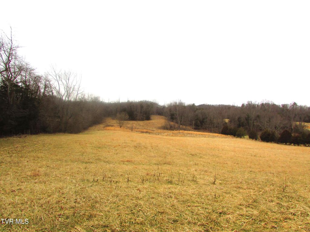 Photo of 1411 Bristol Caverns Highway, Bristol, TN 37620 (MLS # 9990584)