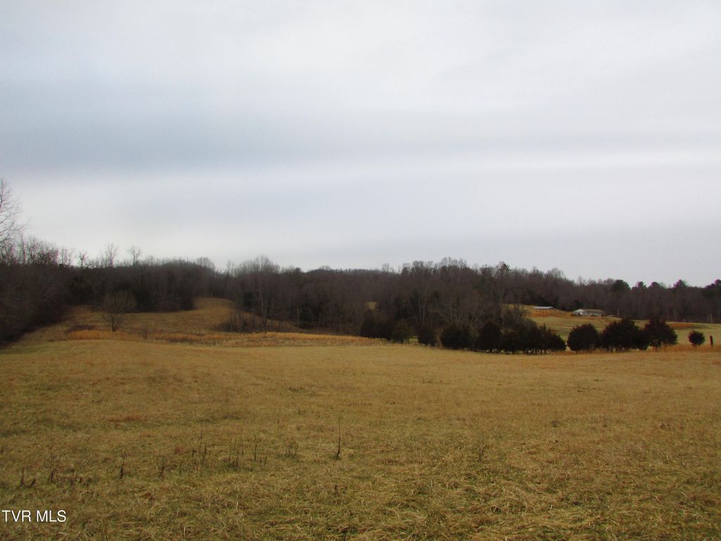 Photo of 1411 Bristol Caverns Highway, Bristol, TN 37620 (MLS # 9990584)