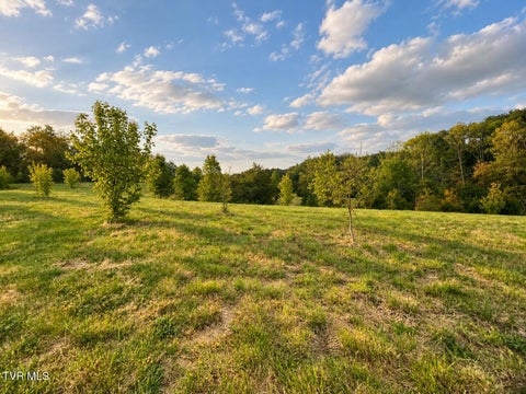 Vacant Land For Sale - 3050 Shackleford Road<br/> Greene County, Mosheim, TN 37818