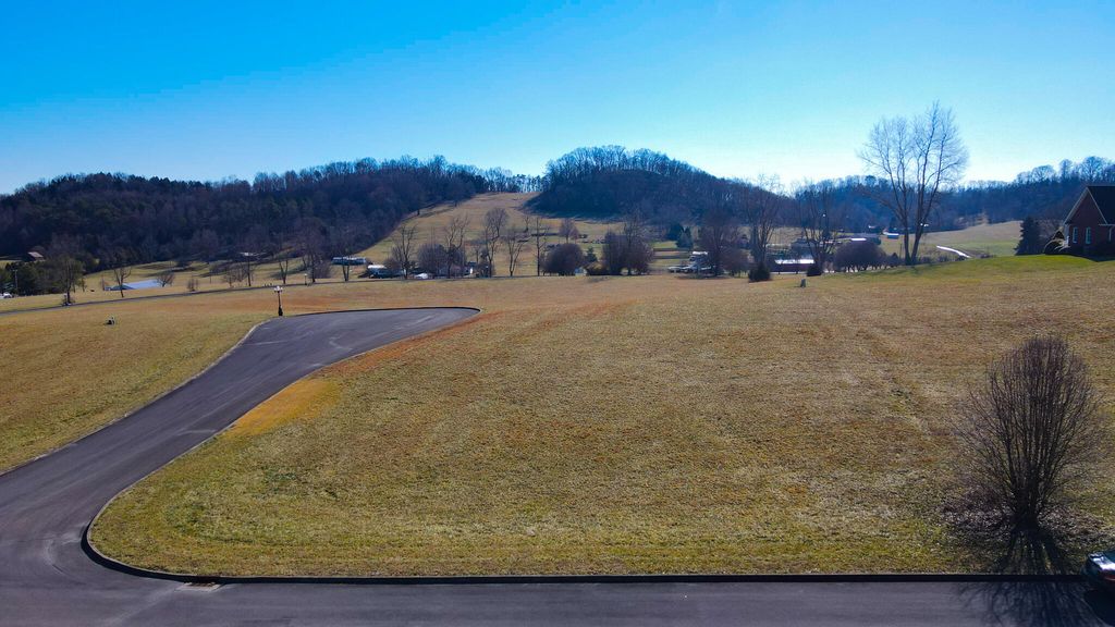 Photo of 57 Walnut Tree Drive, Church Hill, TN 37642 (MLS # 9993131)