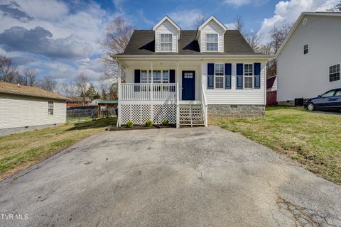 121 Saint James Place Bristol TN 37620