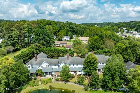 Tiny photo for 102 Willow Creek Lane #B, Jonesborough, TN 37659 (MLS # 9986485)