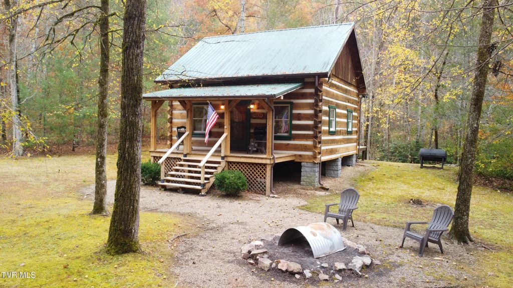 Photo of 5633 Lower Paint Creek Road, Greeneville, TN 37743 (MLS # 9987696)