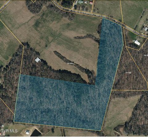 Vacant Land For Sale - TBD Wildwood Road<br/> Mosheim, TN 37818