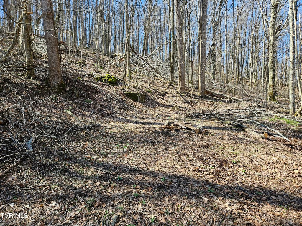 Photo of 0 Shuler Hollow Road, Chilhowie, VA 24319 (MLS # 9992806)