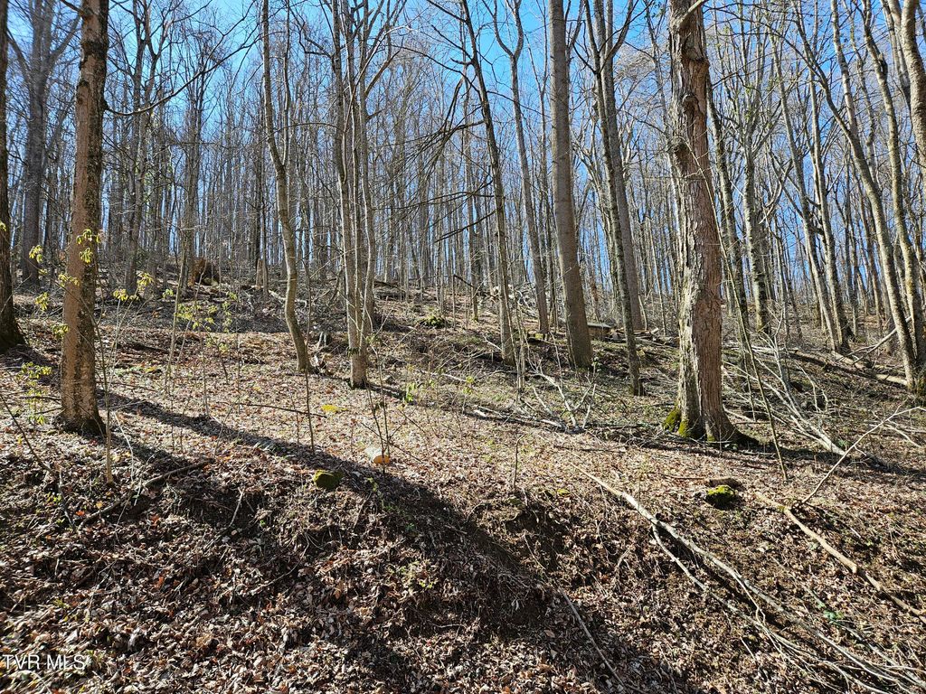 Photo of 0 Shuler Hollow Road, Chilhowie, VA 24319 (MLS # 9992806)
