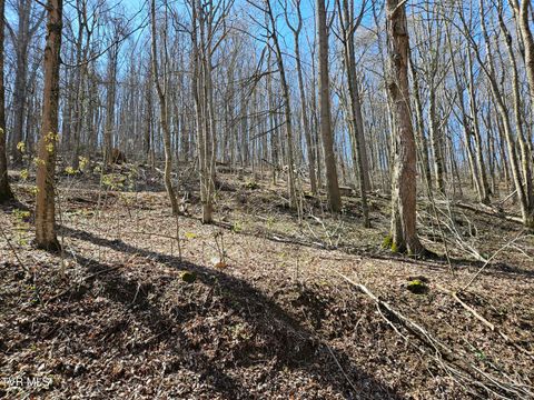 Vacant Land For Sale - Shuler Hollow Road<br/> Smyth County, Chilhowie, VA 24319