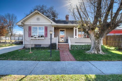 Photo of 102 Walnut Street, Johnson City, TN 37601 (MLS # 9988297)