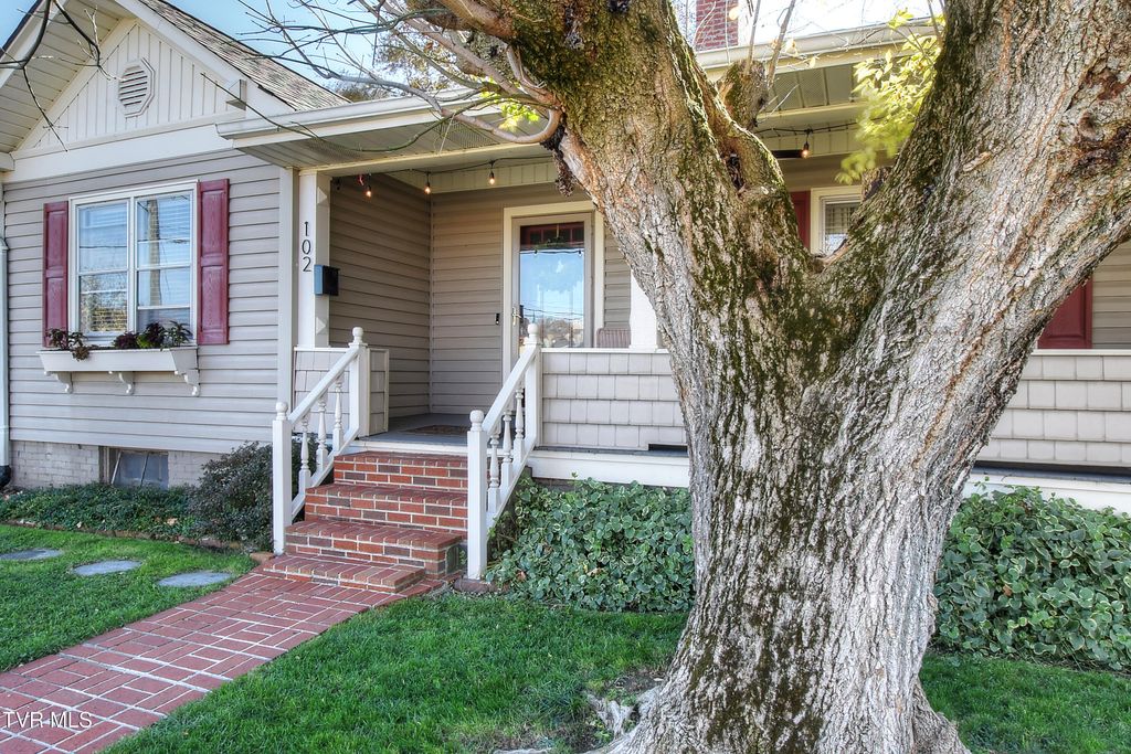 Photo of 102 Walnut Street, Johnson City, TN 37601 (MLS # 9988297)