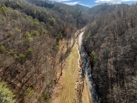 Vacant Land For Sale - TBD Cripple Creek Road<br/> Watauga, TN 37694