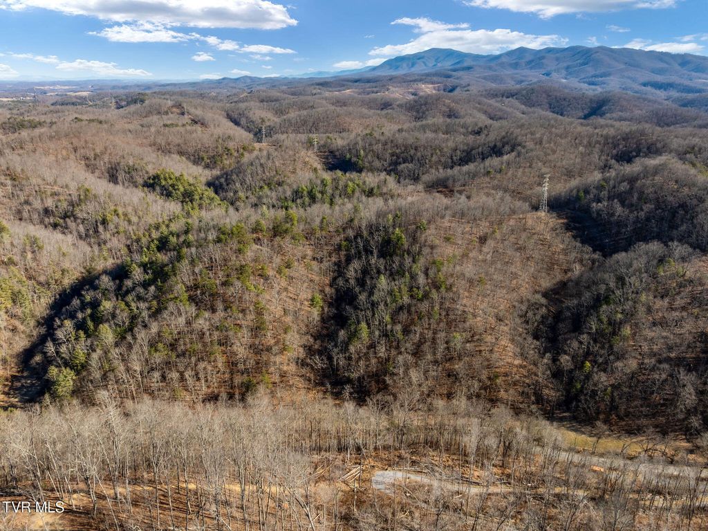 Photo of Tbd Cripple Creek Road, Watauga, TN 37694 (MLS # 9990450)