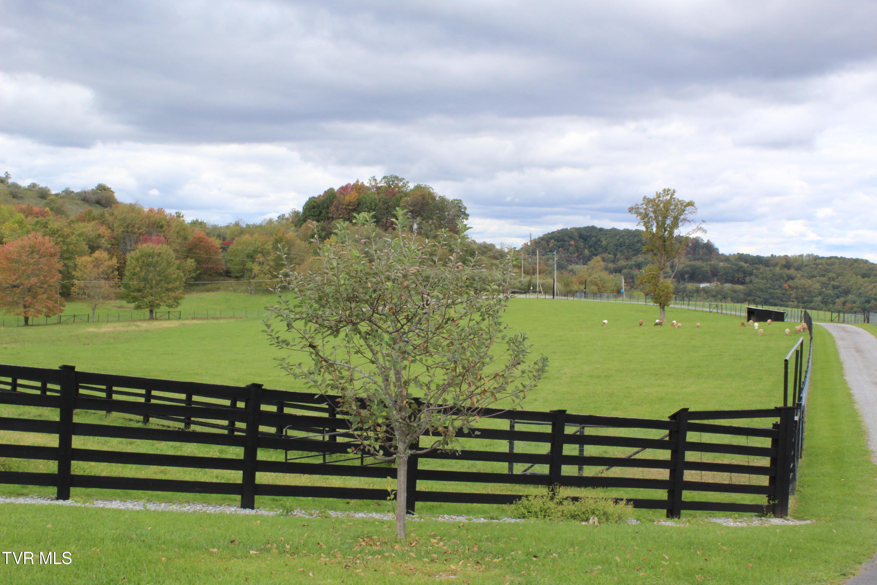 7362 Jim Faust Road, Wise, Virginia image 3