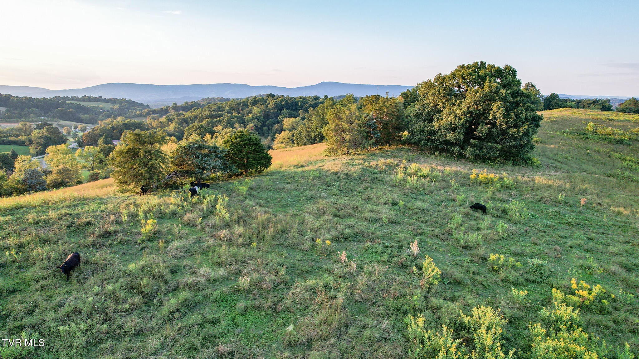 Lot 3 Morrison Road
