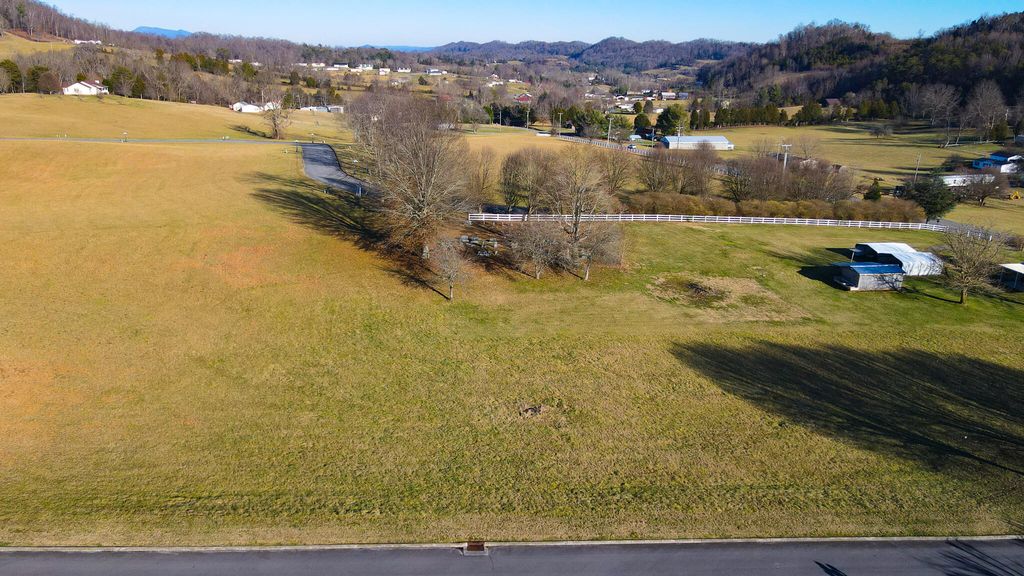 Photo of 50 Walnut Grove Drive, Church Hill, TN 37642 (MLS # 9997114)