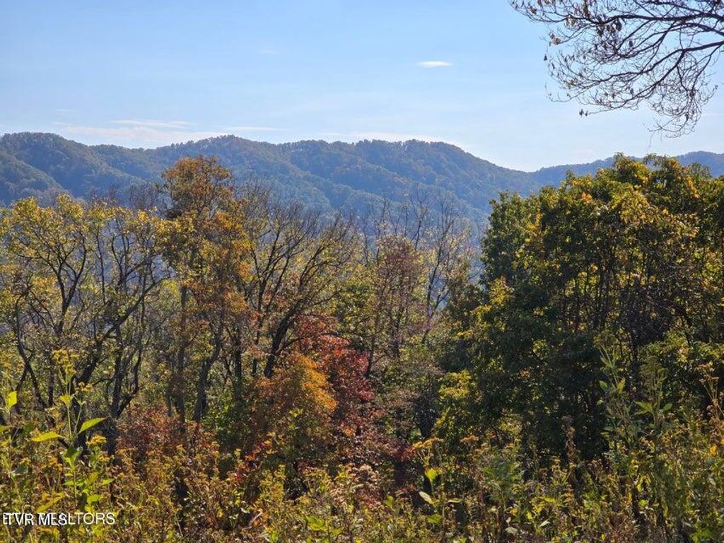 Photo of Tbd Copper Ridge Road, Eidson, TN 37731 (MLS # 9987520)