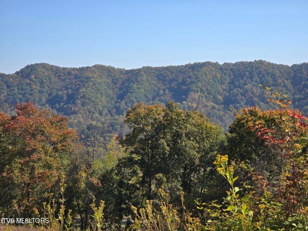 Photo of Tbd Copper Ridge Road, Eidson, TN 37731 (MLS # 9987520)