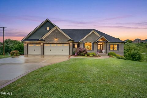 Photo of 121 Sunset Ridge Boulevard, Johnson City, TN 37615 (MLS # 9998291)