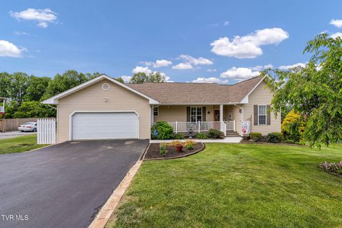 Photo of 507 Headtown Road, Jonesborough, TN 37659 (MLS # 9995622)