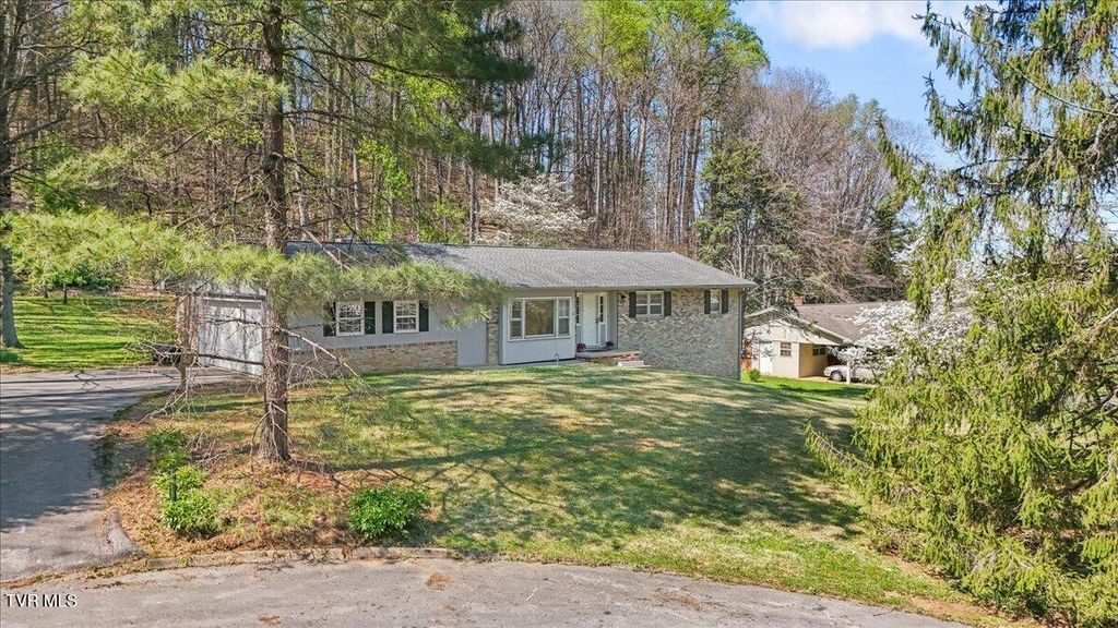 Photo of 4 Okeechobee Drive, Johnson City, TN 37604 (MLS # 9993531)