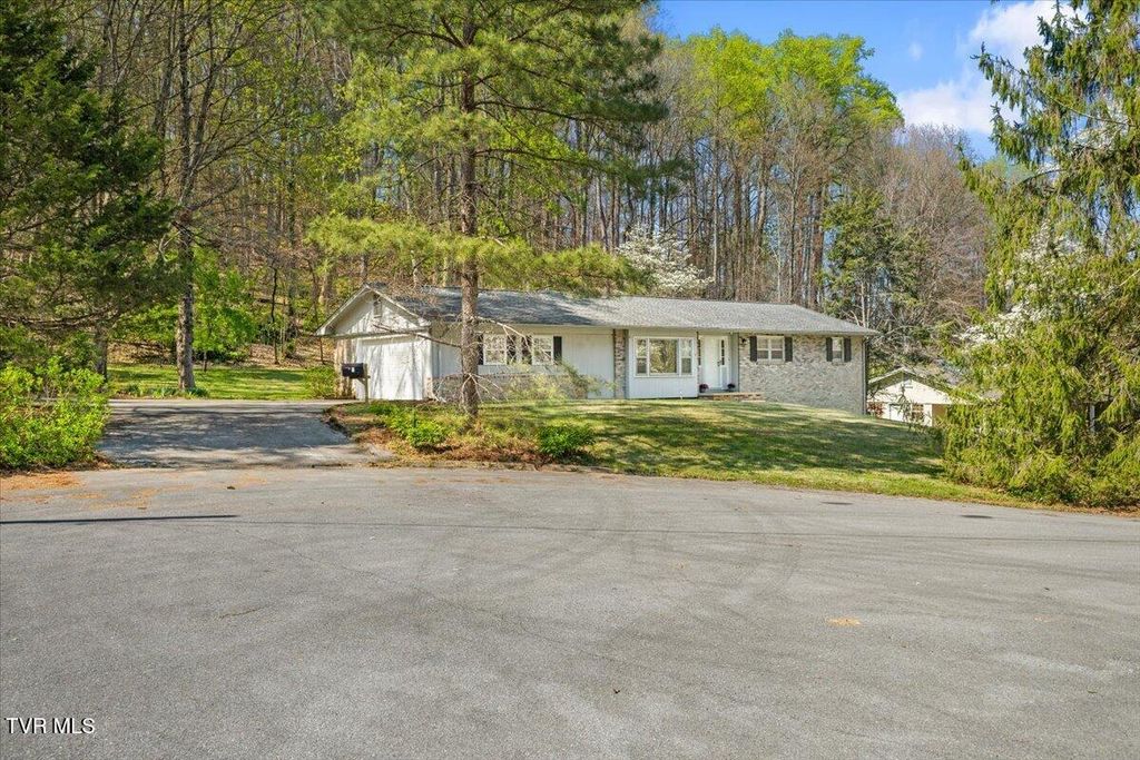 Photo of 4 Okeechobee Drive, Johnson City, TN 37604 (MLS # 9993531)